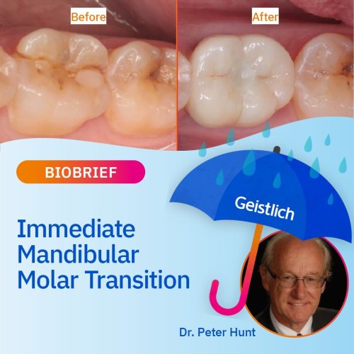 Carousel post from geistlich_north_america.