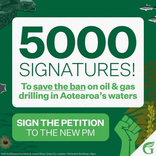 Photo post from nzgreenparty.