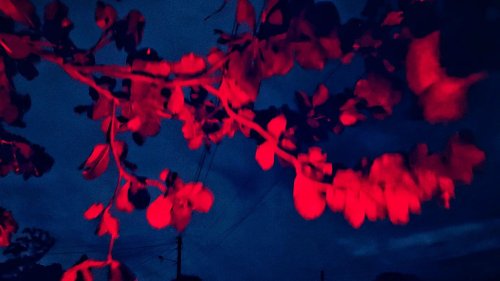 Photo post from jakbobby.