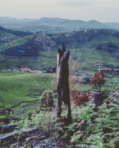 PostPhoto