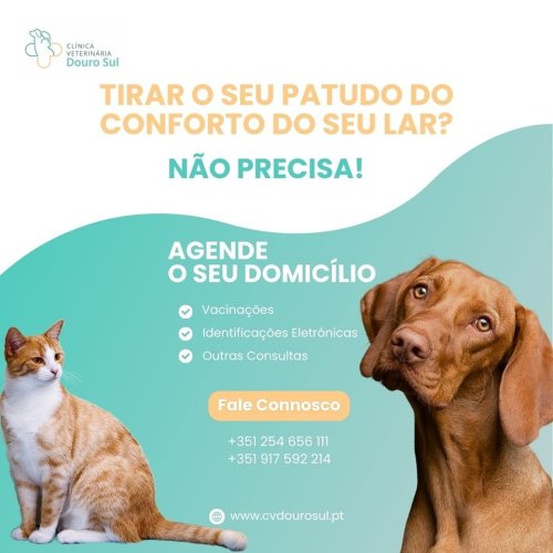 Photo post from clinica_veterinaria_dourosul.