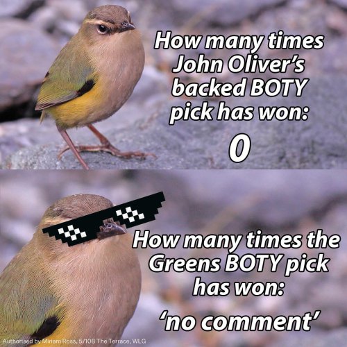 Photo post from nzgreenparty.