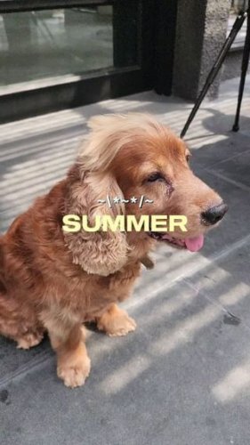 Video post from crane_living.