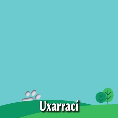 Video post from uxarraci.