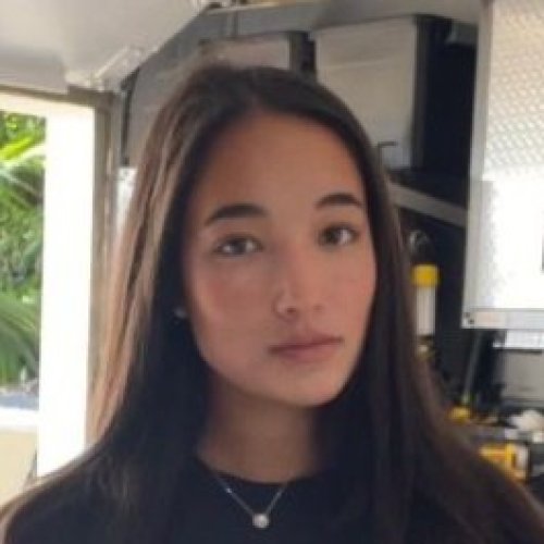 Carousel post from icetheatreofny.