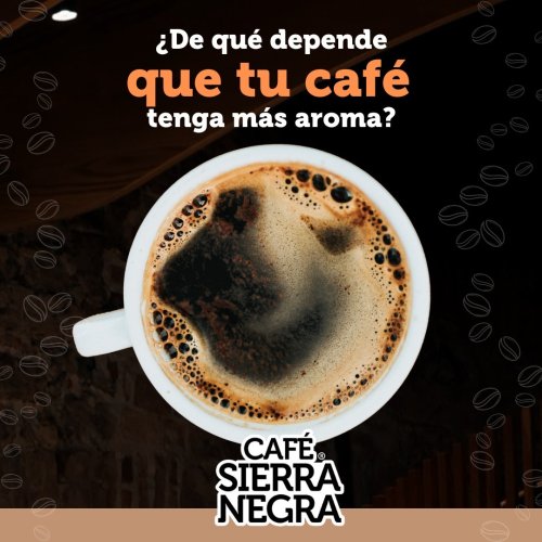 ☕ 10 Características del Café Arábica