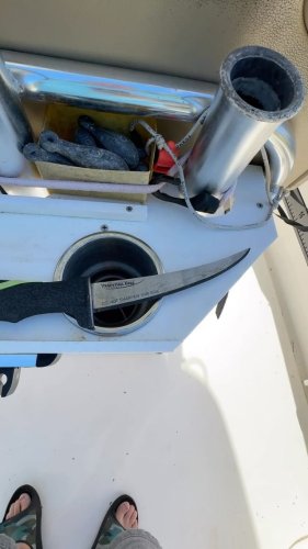 Video post from ejs_fishing_charters.