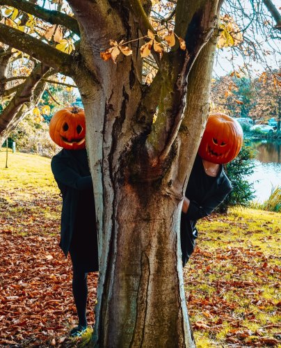 Carousel post from themoathouse.