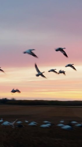 Video post from northernskiesoutfitters.