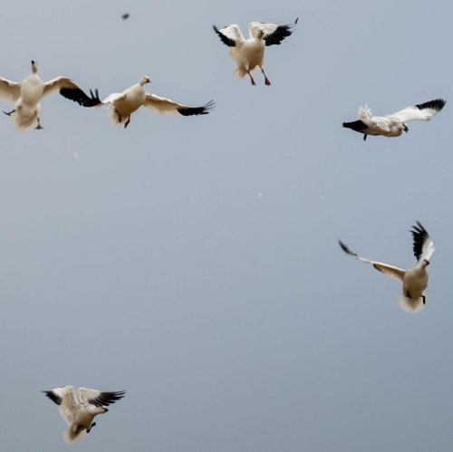 Photo post from northernskiesoutfitters.