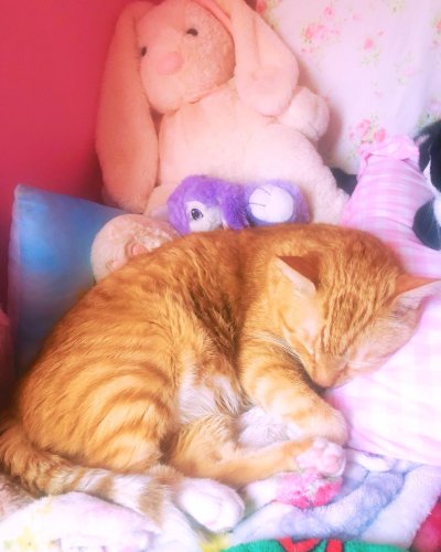 Photo post from margaritabloom.