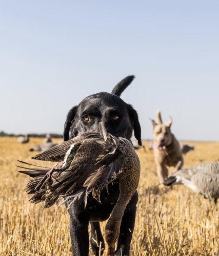 Carousel post from northernskiesoutfitters.