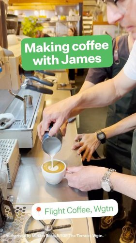 Video post from nzgreenparty.