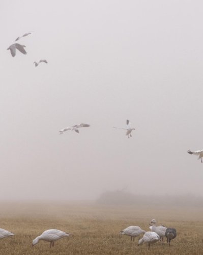 Carousel post from northernskiesoutfitters.