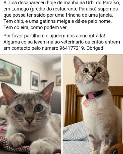 Photo post from clinica_veterinaria_dourosul.