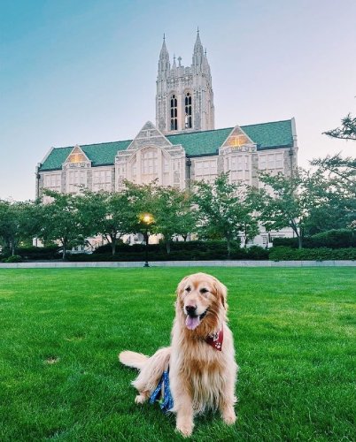 Photo post from bostoncollege.