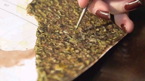 Video post from ira.martelo.