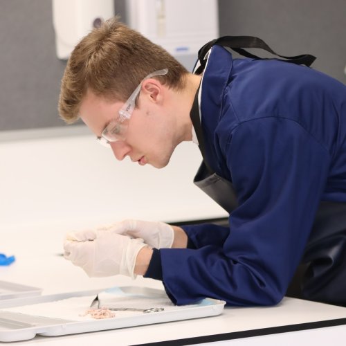 Carousel post from standrewsanglicancollege.