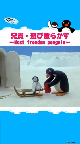 Video post from pingu_jp.