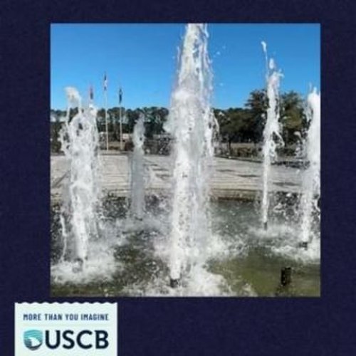 Video post from uscbeaufort.