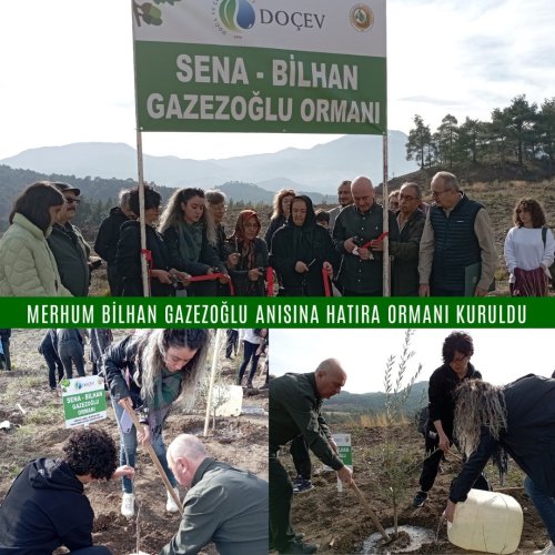 Photo post from dogavecevrevakfi.