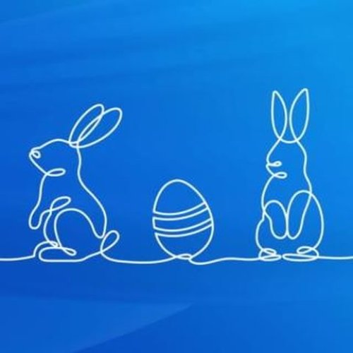 Video post from geistlich_north_america.