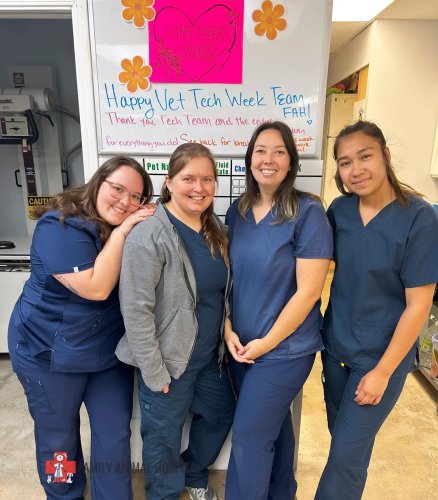 Carousel post from familyanimalhospitalcm.