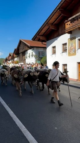 Video post from innsbrucktourism.