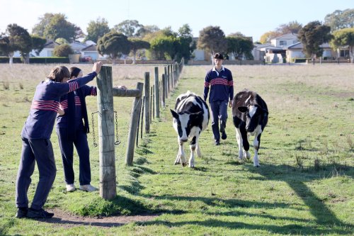 Carousel post from trinitycollegecolac.