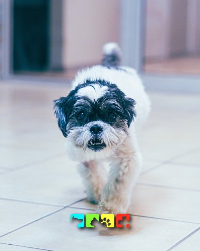 Photo post from medicalpettj.