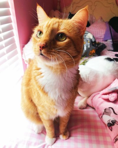 Photo post from margaritabloom.