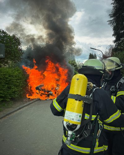 Photo post from ff_stellingen.