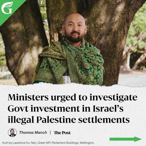 Carousel post from nzgreenparty.