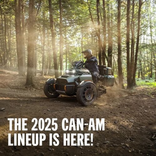 Video post from bertsmegamall.