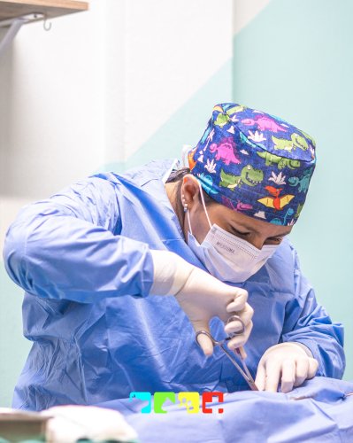 Photo post from medicalpettj.