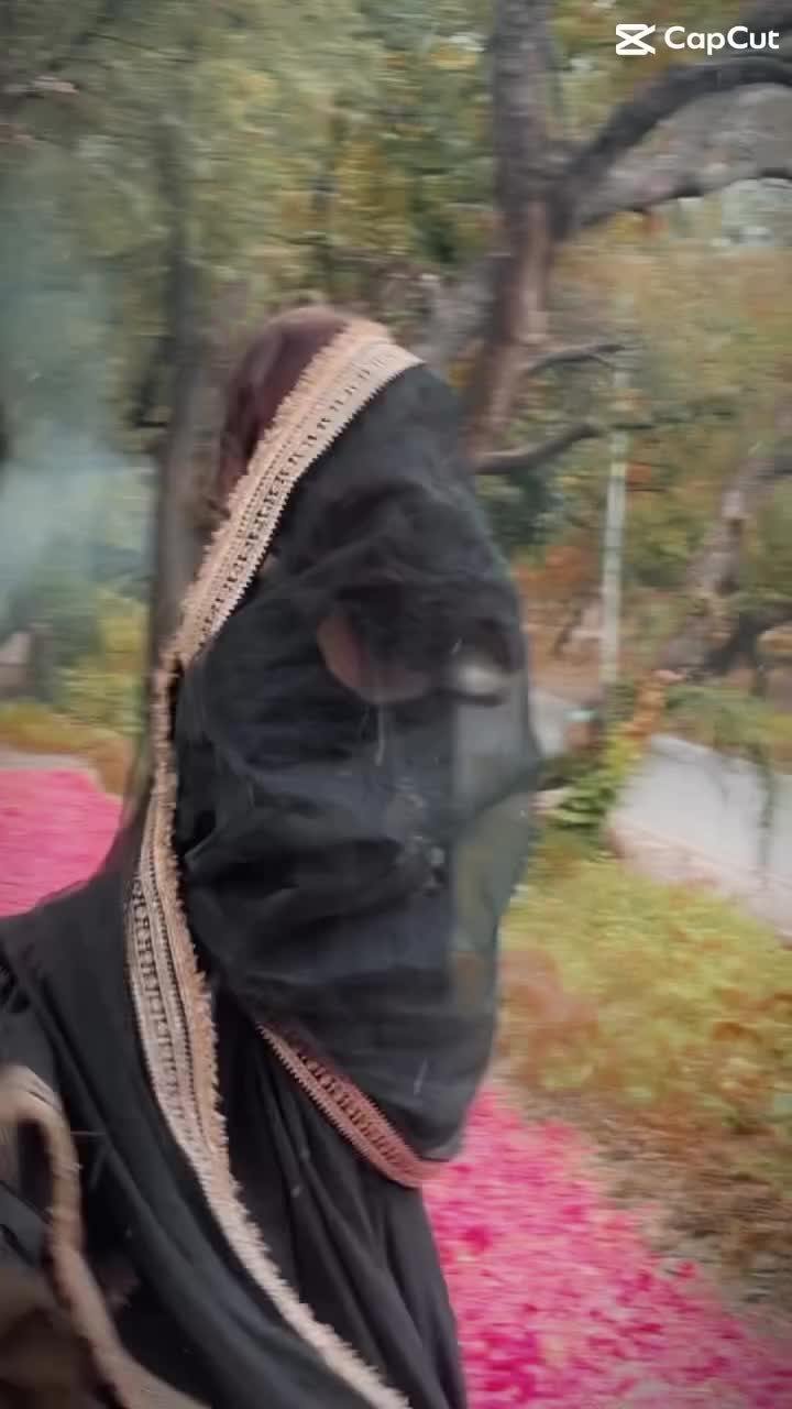 Video post from alizehshahofficial.
