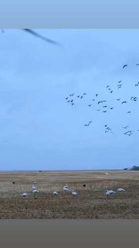 Video post from northernskiesoutfitters.