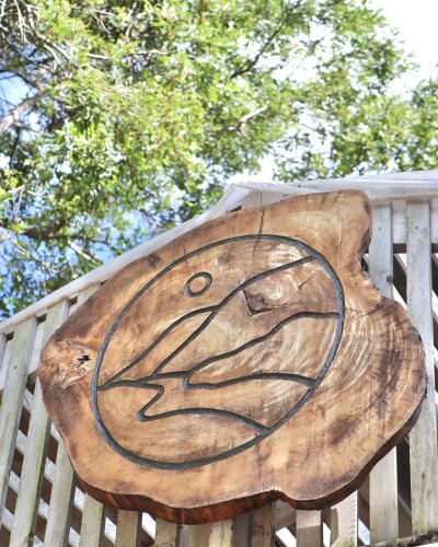 Carousel post from currumbinvalleyharvest.