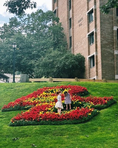 Photo post from bostoncollege.