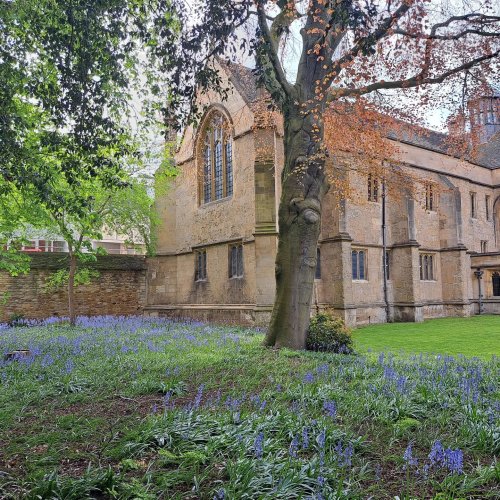 Photo post from wadhamoxford.