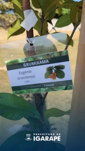 Video post from prefeituradeigarape.