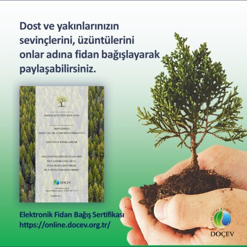 Photo post from dogavecevrevakfi.