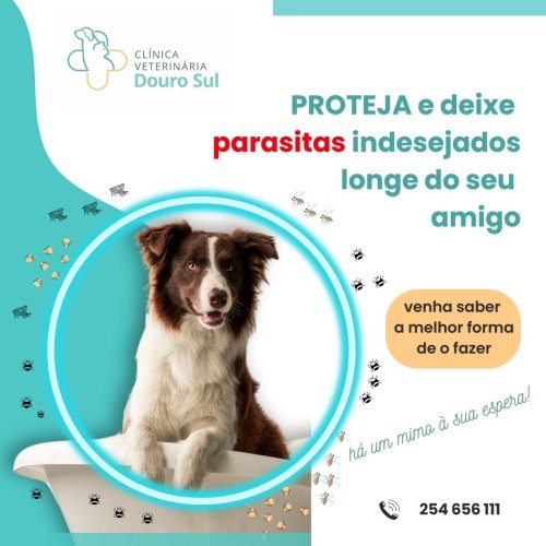 Photo post from clinica_veterinaria_dourosul.