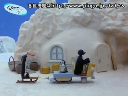 Video post from pingu_jp.