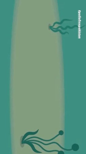 Video post from pakfightspolio.