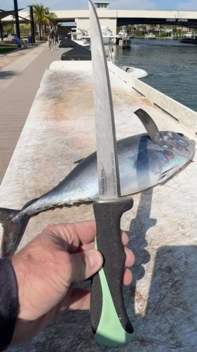 Video post from ejs_fishing_charters.