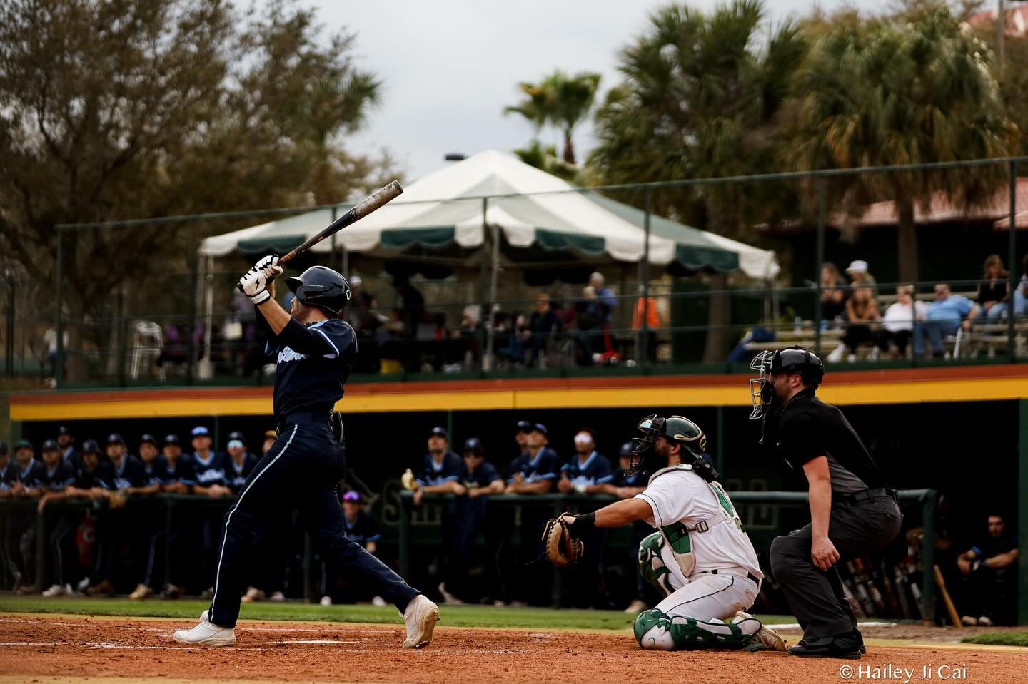 Photo post from uscbsandsharks.