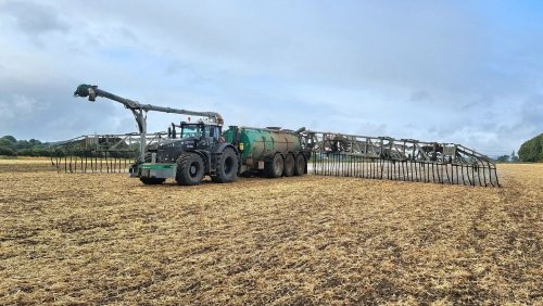 Photo post from crowmarshbattlefarms.