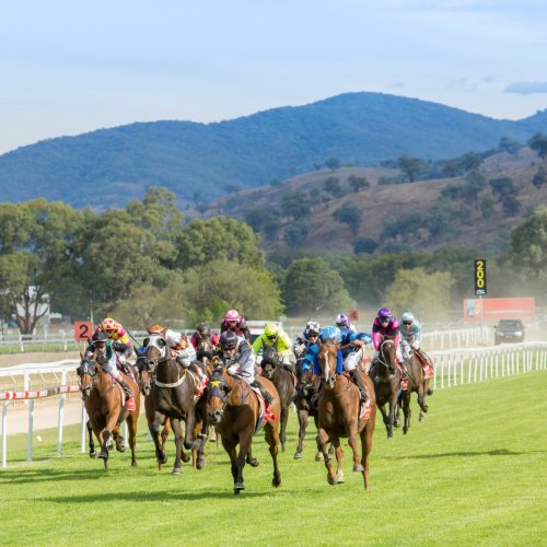 Carousel post from visitalburywodonga.