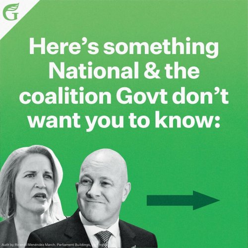 Carousel post from nzgreenparty.